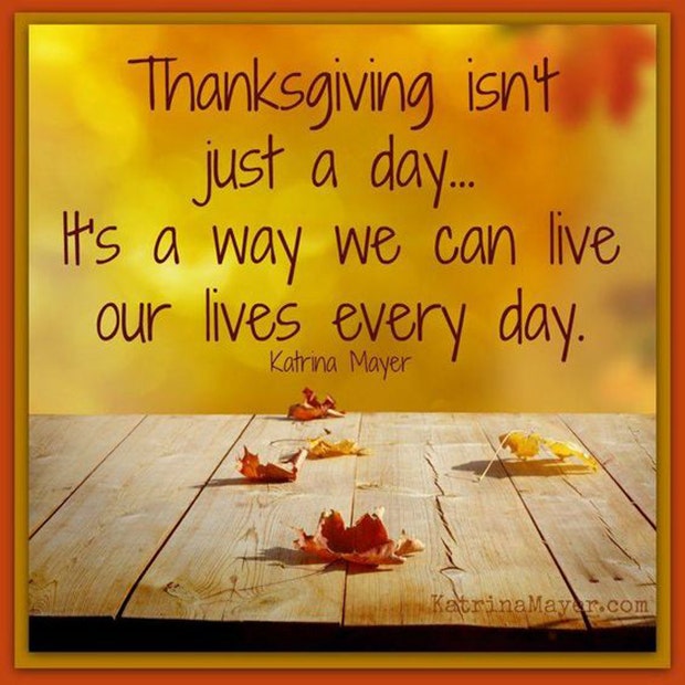 best gratitude quotes memes for thanksgiving