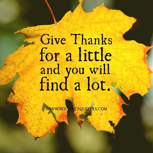 best gratitude quotes memes for thanksgiving