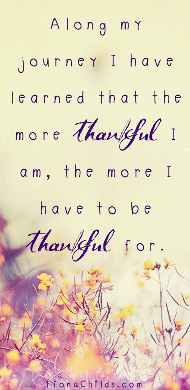 best gratitude quotes memes for thanksgiving