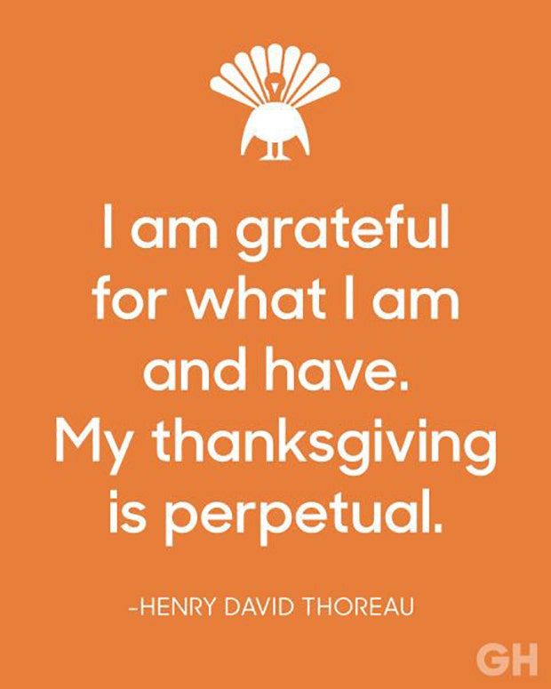 best gratitude quotes memes for thanksgiving