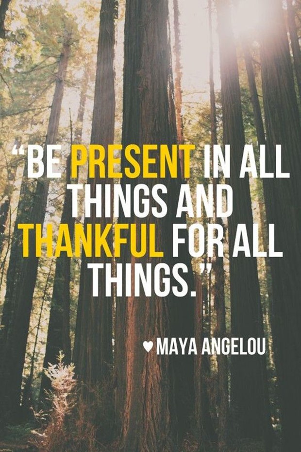 best gratitude quotes memes for thanksgiving