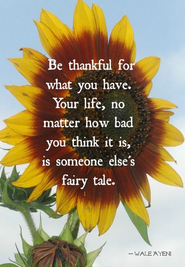 best gratitude quotes memes for thanksgiving