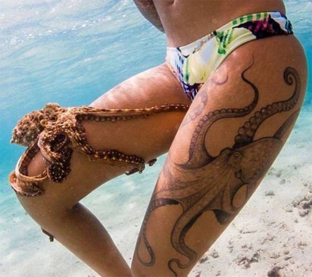 thigh tattoo ideas for women: octopus