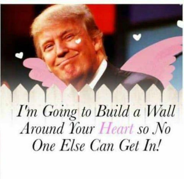 trump valentine memes