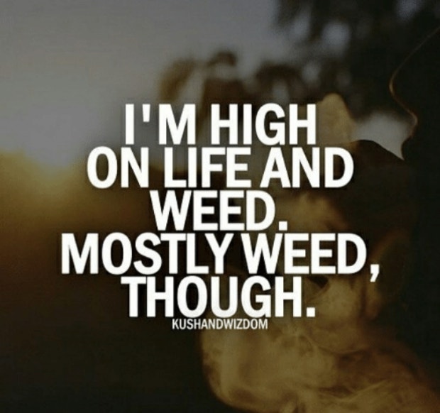 "I'm high on life and weed, mostly weed, though. 