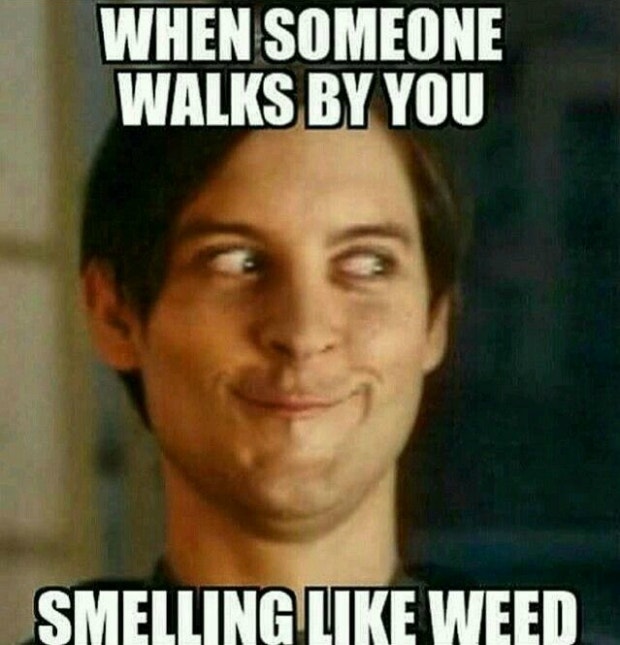 smoking weed memes