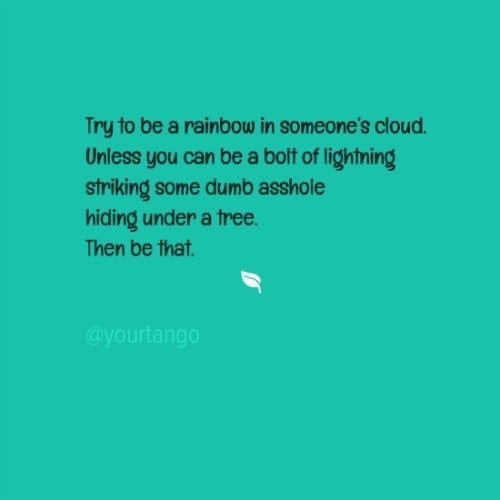 Try to be a rainbow in someone&#039;s cloud. Unless you can be a bolt of lightening some dumb asshole hiding under a tree. Then be that.