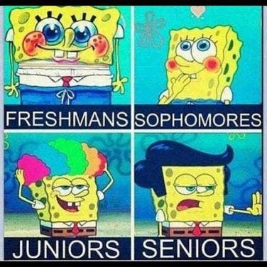 50 best spongebob memes epic jokes of all time yourtango