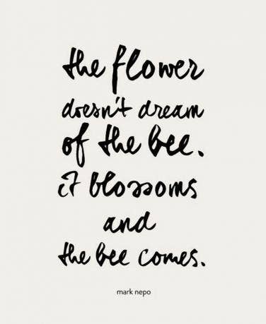 Finding Love Quotes Adorable 48 Love Quotes To Keep You Sane While You're Waiting On It YourTango Finding Love Quotes Adorable 48 Love Quotes To Keep You Sane While You're Waiting On It YourTango