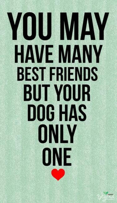 60 Quotes That Prove Dogs Are TRULY WoMan's Best Friend YourTango Interesting Quotes About Dog Friendship 60 Quotes That Prove Dogs Are TRULY WoMan's Best Friend YourTango Interesting Quotes About Dog Friendship