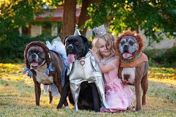 halloween costumes dogs kids