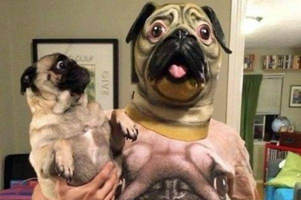 Pug mask