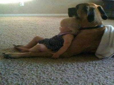 baby laying on dog