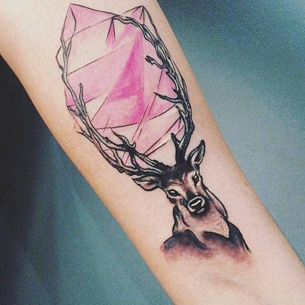 1. Deer