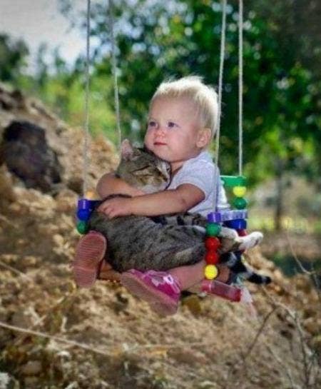 baby hugging cat
