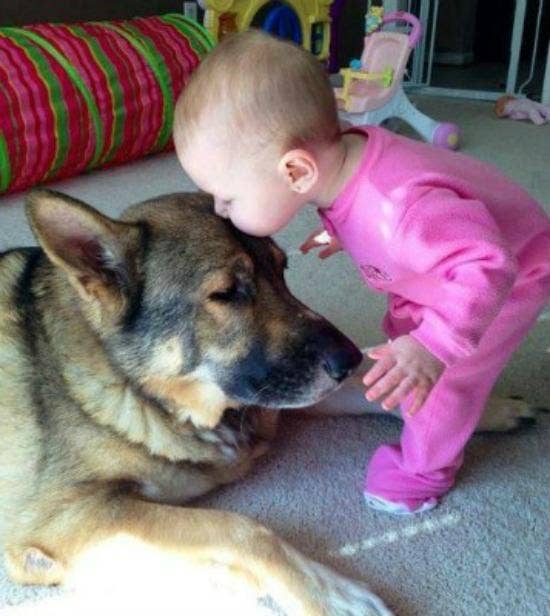 baby kissing dog