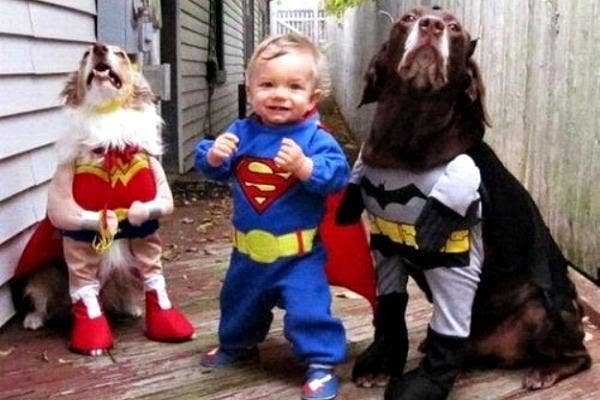 halloween costumes dogs kids