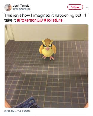 Nintendo Pokemon Go Funny Photos Funny Quotes
