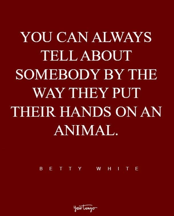 10 Animal Love Quotes From Celebrities Who Love Their Dogs, Cats, And Furry Friends | Paul Aitken | YourTango 10 Animal Love Quotes From Celebrities Who Love Their Dogs, Cats, And Furry Friends | Paul Aitken | YourTango