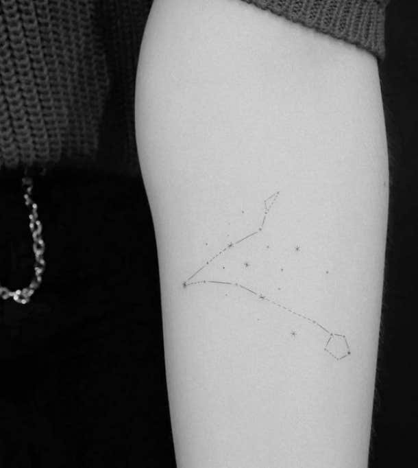 Pisces Zodiac Wildflower Constellation pisces tattoo pisces constellation pisces  tattoo for women bac  Pisces tattoo designs Zodiac tattoos Horoscope  tattoos