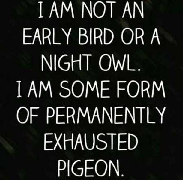 150 Best Funny Quotes To Brighten Up Your Day | YourTango 150 Best Funny Quotes To Brighten Up Your Day | YourTango