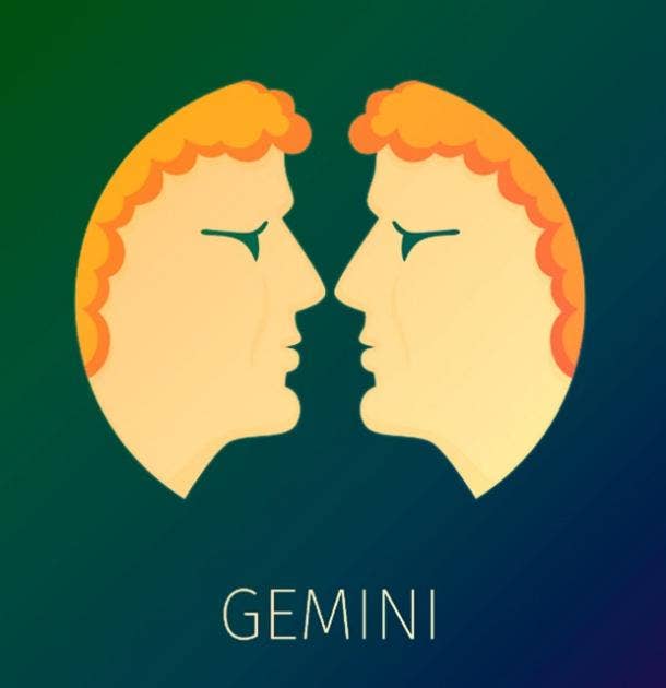 do you look like your zodiac sign gemini