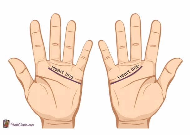 What does it mean to have 'four bracelets or rascette lines' in palmistry?  - Quora