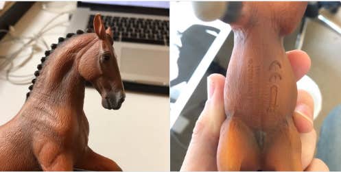 Horse Penis