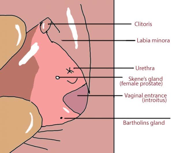 How To Make A Women Sqirt