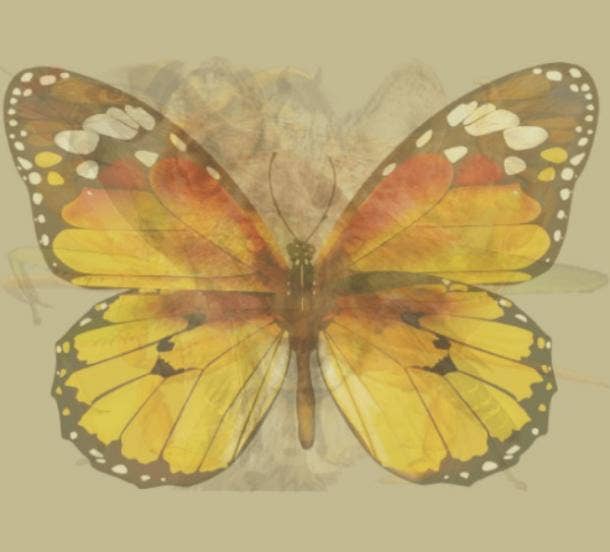 Picture personality test butterfly