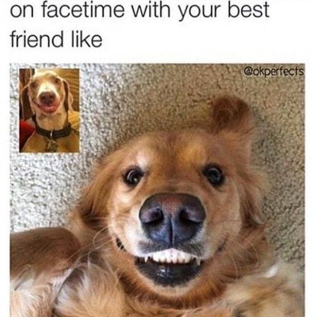 50 Best Friendship Memes To Share On World Friendship Day Yourtango