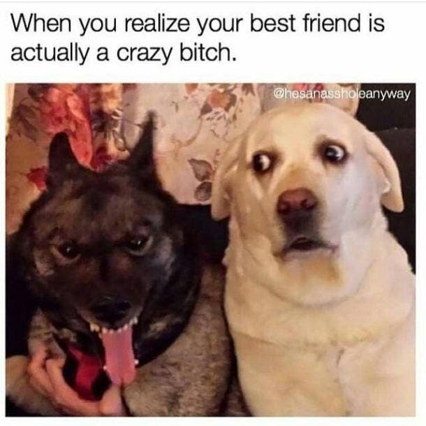 friendship memes friendship day