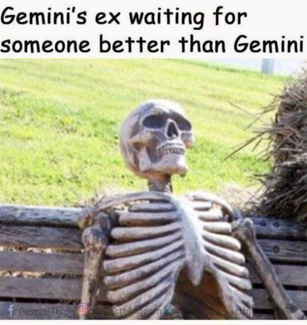 Téléchargement gratuit Images 12 Best Gemini Quotes Memesthat Describe The Twin Zodiac Sign S le plus cool par
