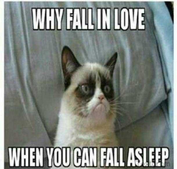 21 Best Grumpy Cat Memes And Funny Quotes About Love Life Yourtango