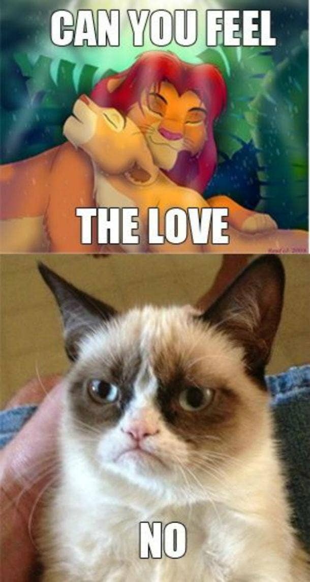 21 Grumpy Cat memes to instantly make you grumpy however happy you are!