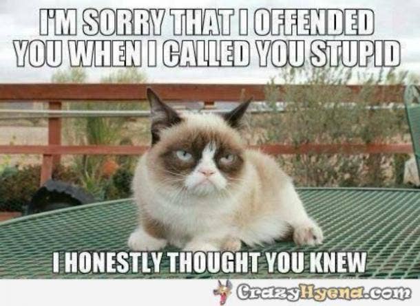 21 Best Grumpy Cat Memes And Funny Quotes About Love & Life