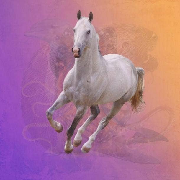 true self personality test horse