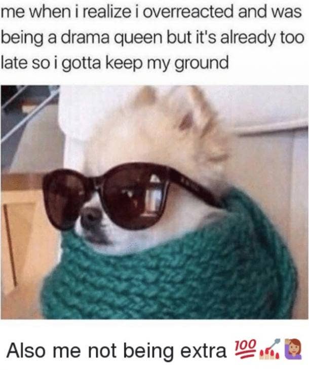 What Does Extra Mean The Slang Definition Explained 17 Funny Memes Yourtango What Does Extra Mean The Slang Definition Explained 17 Funny Memes Yourtango
