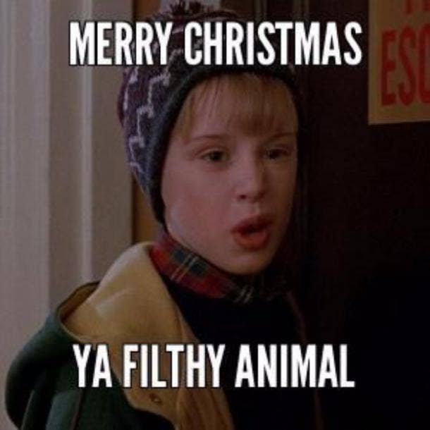 funny Christmas memes & quotes