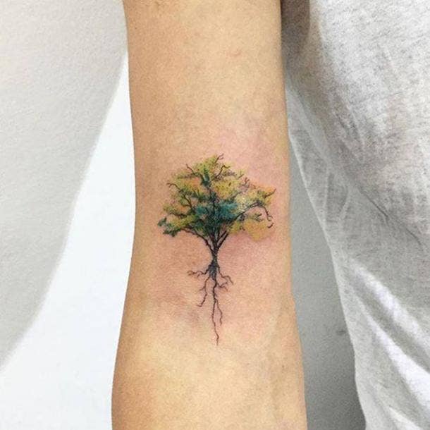 ROODBAARD tattoos and artwork on Tumblr: Bodhi tree chackra line up for  Edwig done @pointblanktattoo #weert - - - #tattoo #treetattoo #tree  #bohditree #treeoflife...