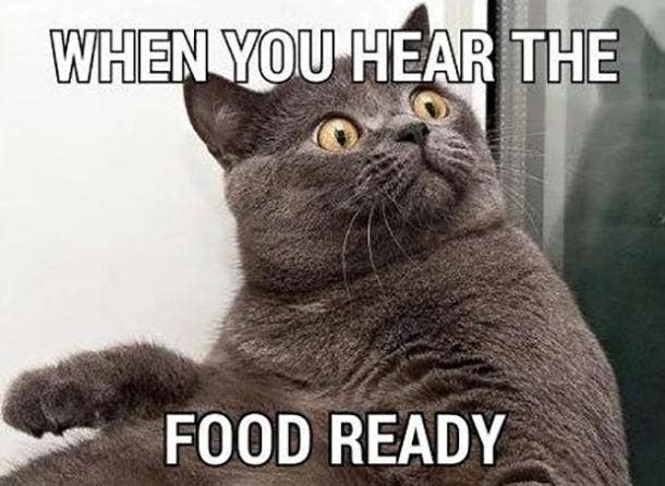 50 Best Funny Thanksgiving Memes For 2022 - 27