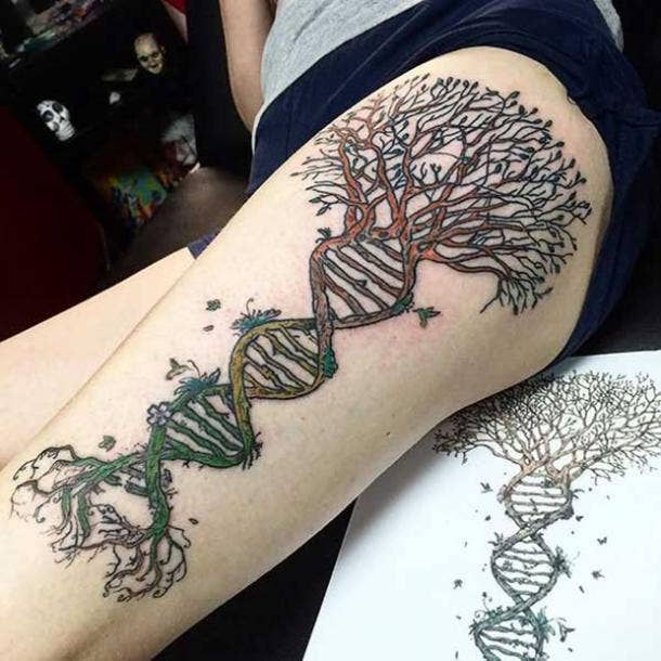 30 Best Tree Of Life Tattoo Design Ideas and What They Mean  Saved  Tattoo