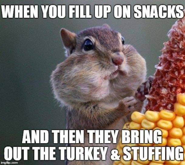 50 Best Funny Thanksgiving Memes For 2022 - 45
