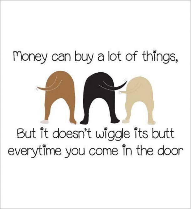 50 Funny Pet Memes & Pet Quotes For National Pet Day | YourTango 50 Funny Pet Memes & Pet Quotes For National Pet Day | YourTango