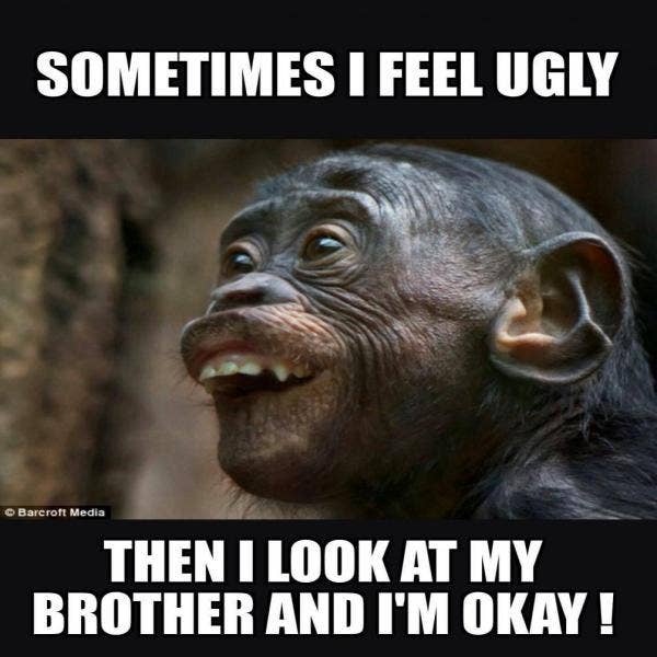 funny brother memes