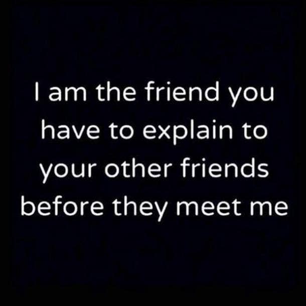 i am the friend funny friendship quote