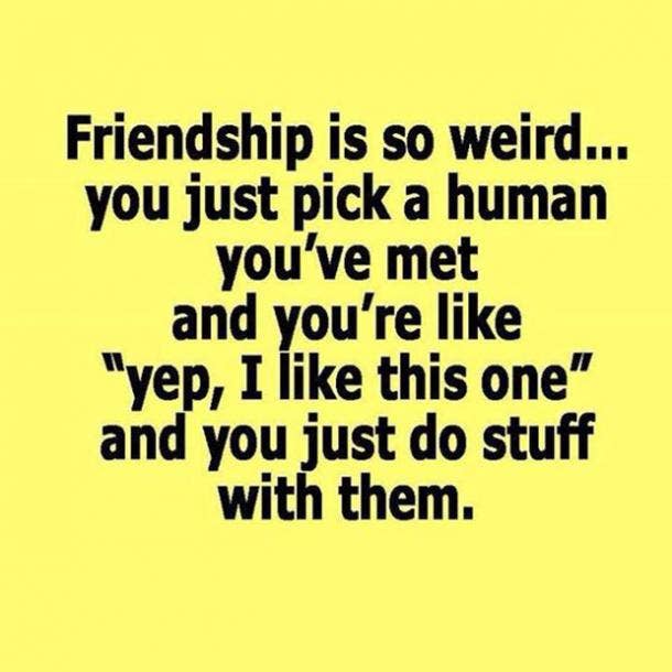 friendship is so weird funny friendship quotes