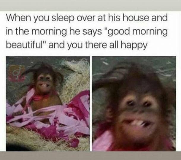 Featured image of post Best Girlfriend Ever Memes : 30 funny (&amp; totally accurate) girlfriend memes to share with your best girlfriend ever.