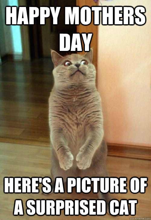 50 Funny Mom Memes to Share in 2023