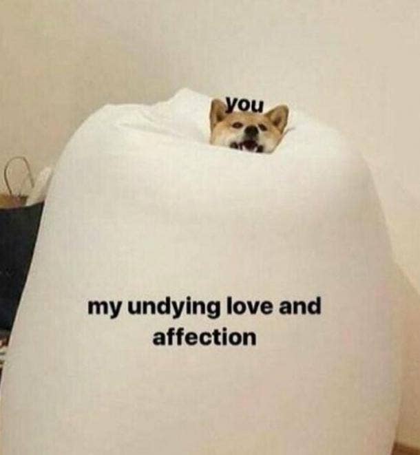 40 Cute I Love You Memes And Funny Quotes Yourtango